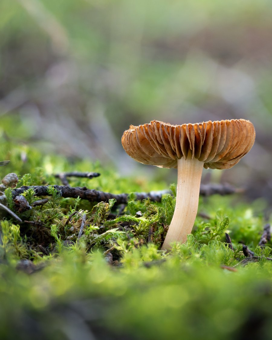 2025-12-14 19-08-55 (B,R6,S3).jpg