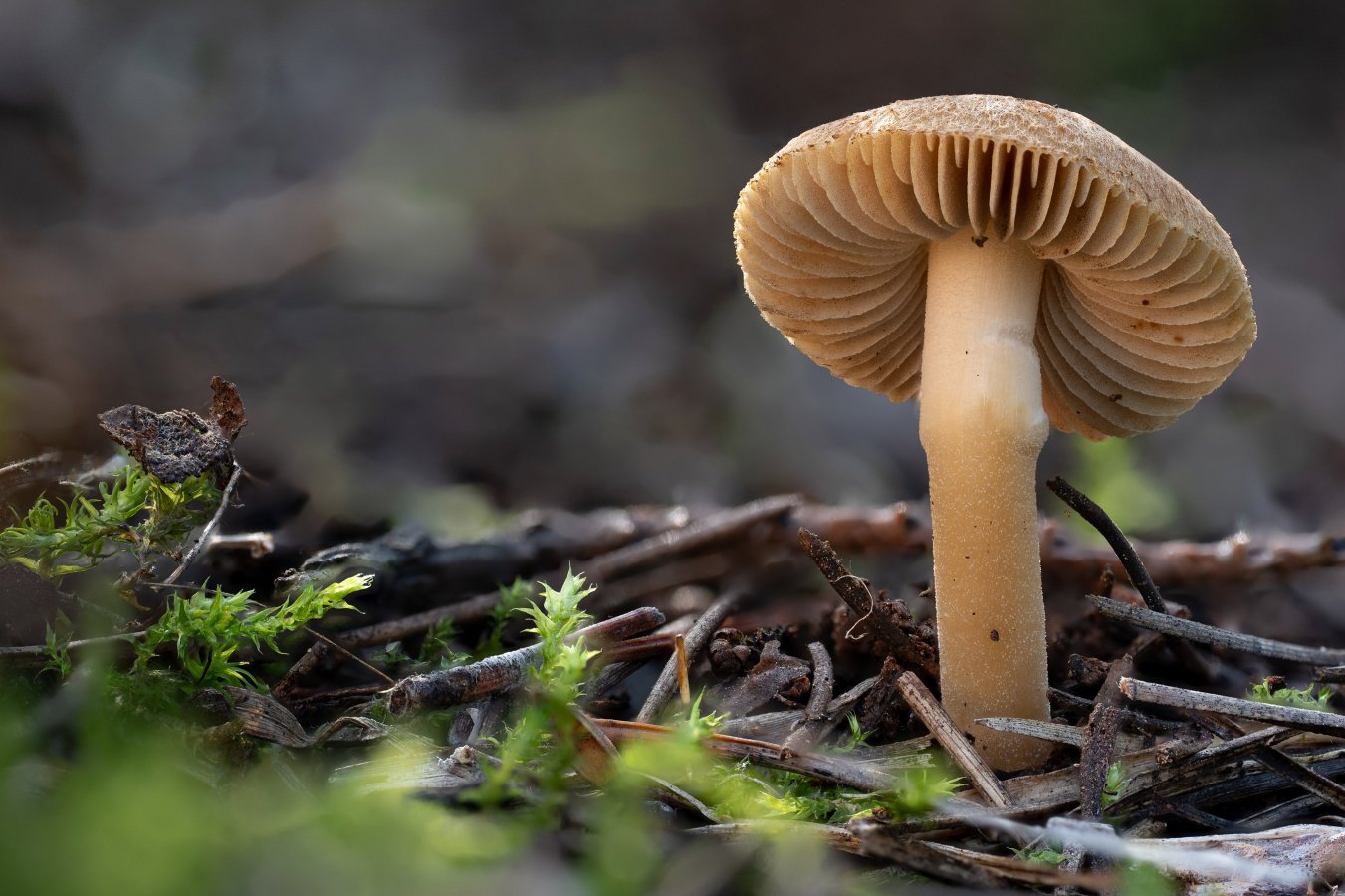 2025-12-14 19-41-30 (B,R6,S3).jpg