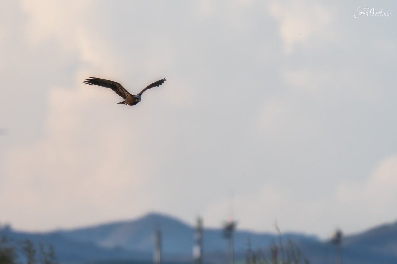 ARV06043-Edit web.jpg