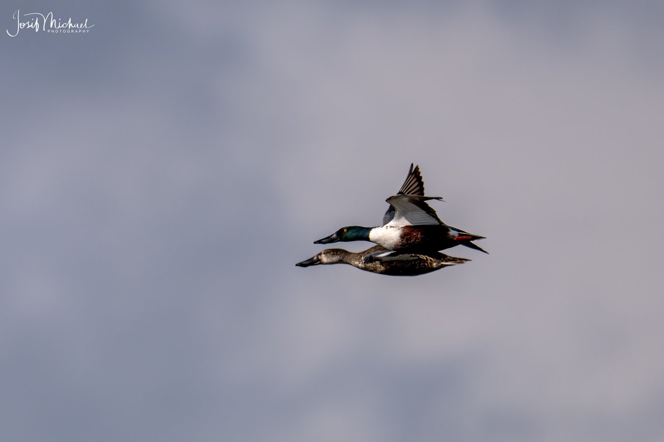 ARV05948-Edit web.jpg