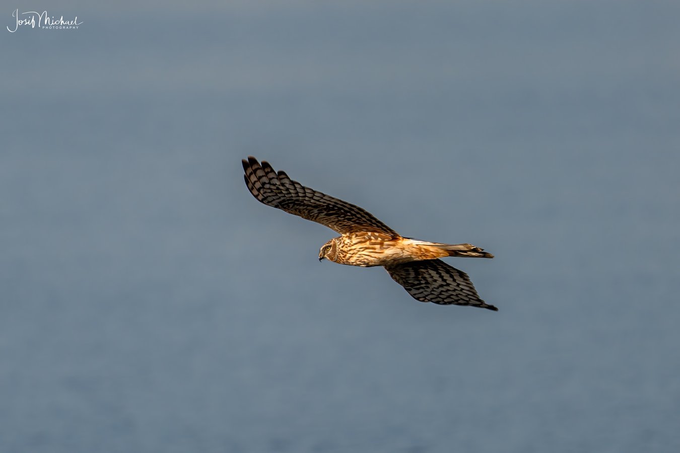 ARV06227-Edit web.jpg