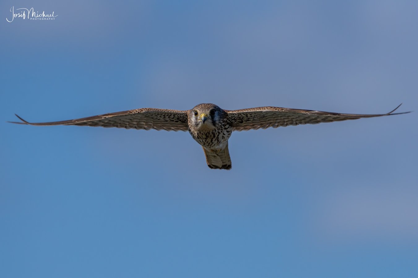 ARV07048-Edit web.jpg