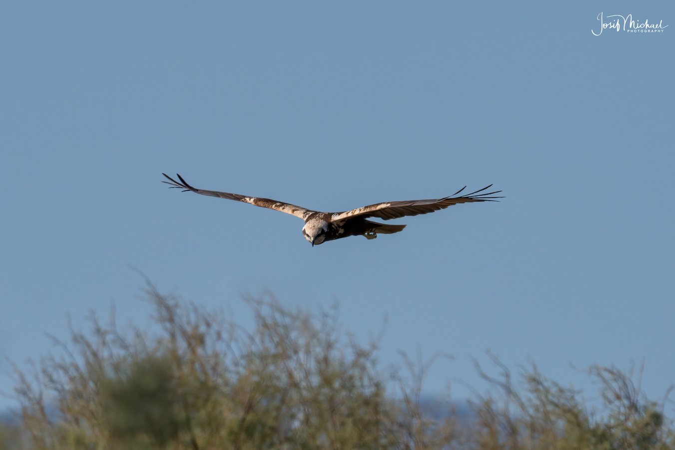 ARV07145-Edit web.jpg