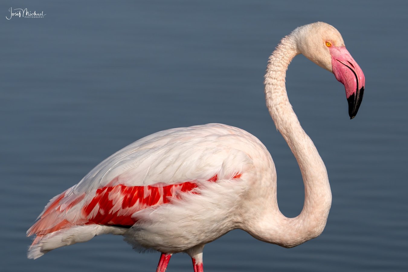 ARV08228-Edit web.jpg