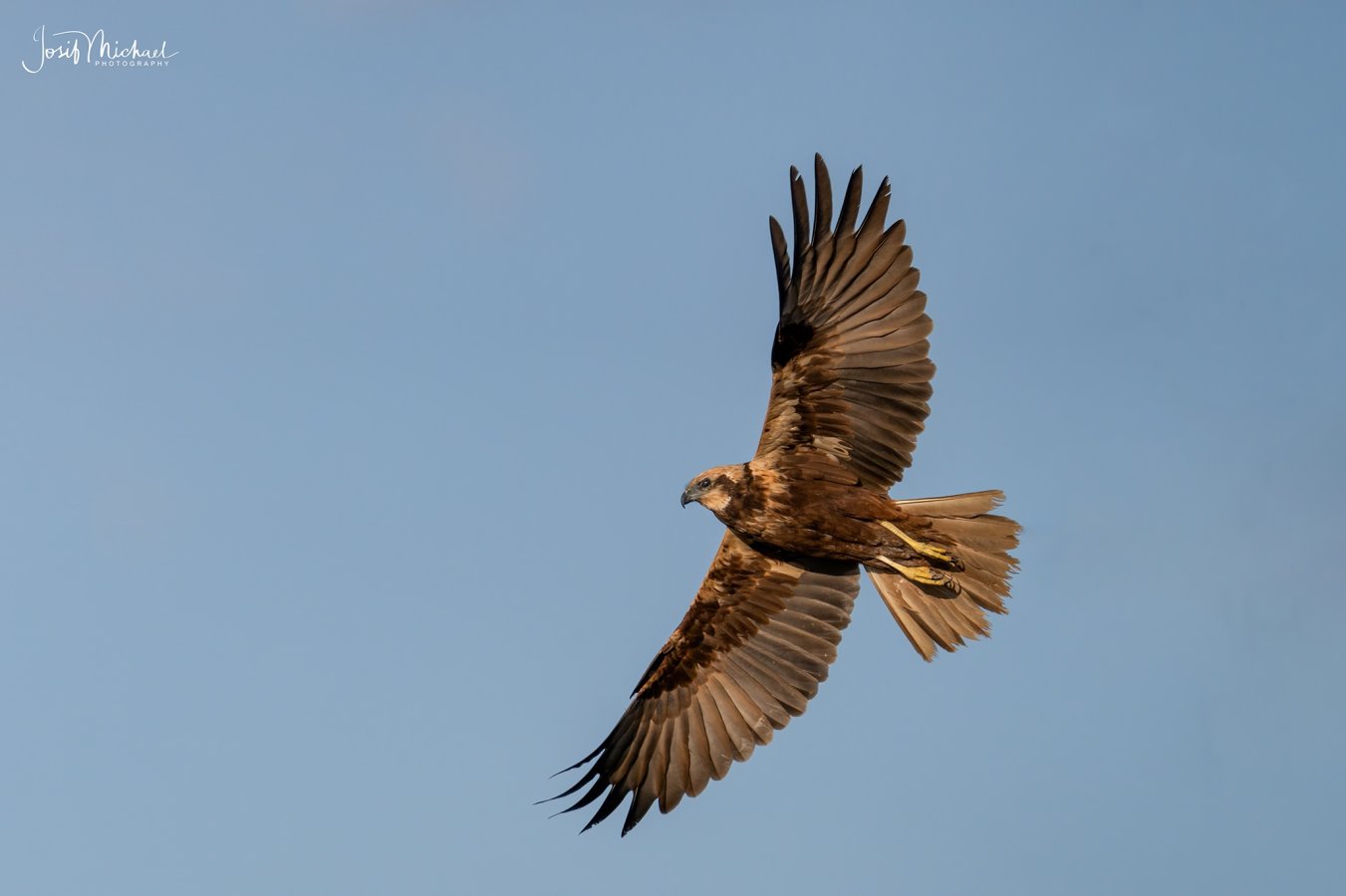 ARV07928-Edit web.jpg