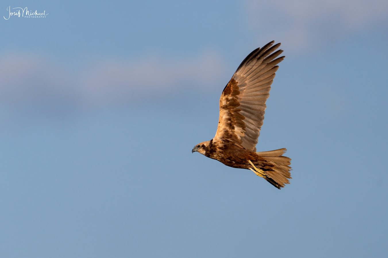 ARV07929-Edit web.jpg