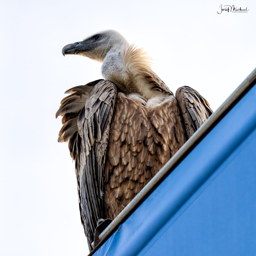 ARV09339-Edit web.jpg