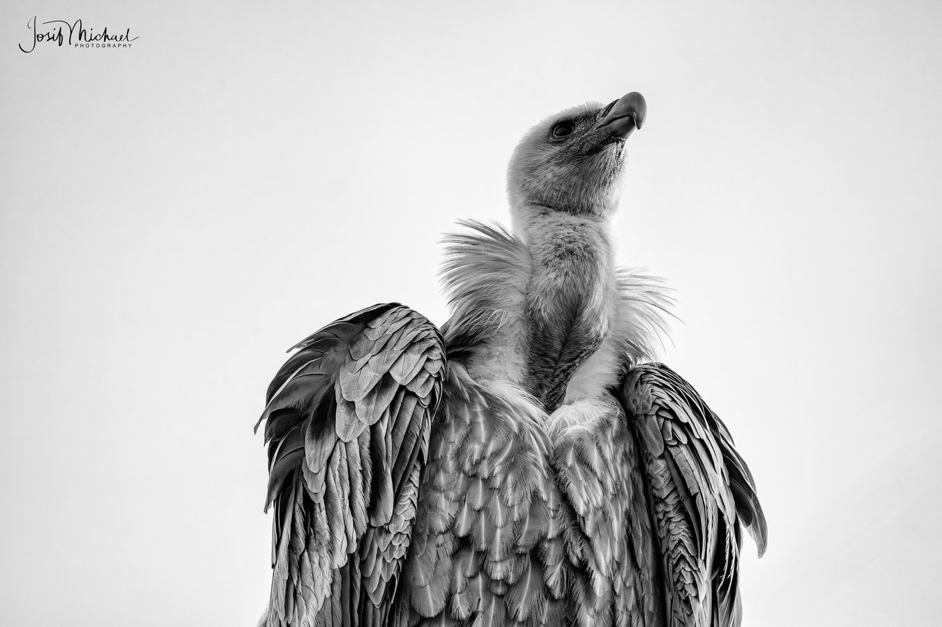 ARV09391-Edit web.jpg