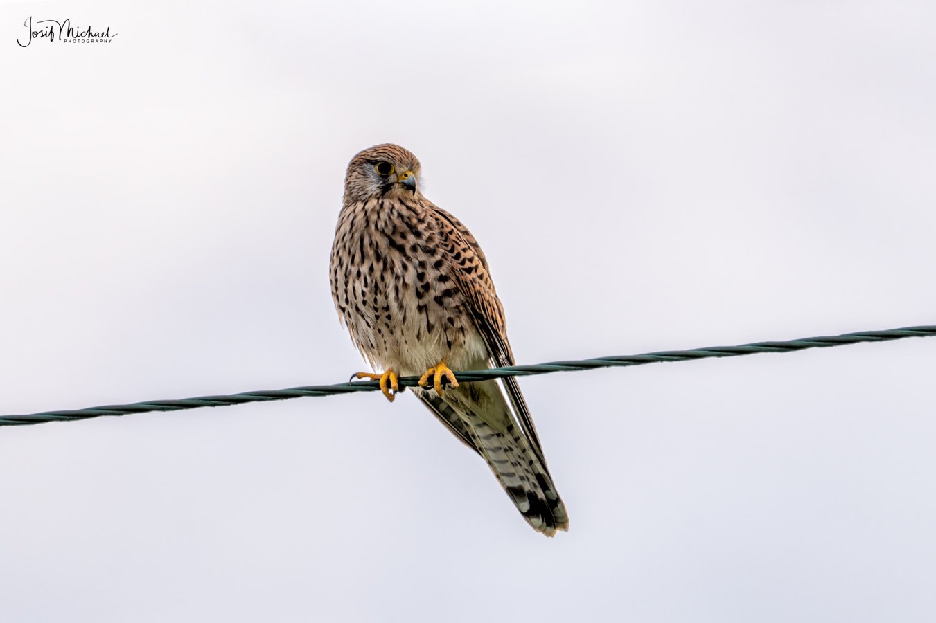 ARV00388-Edit web.jpg