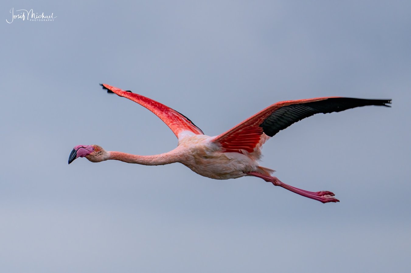 ARV00748-Edit web.jpg