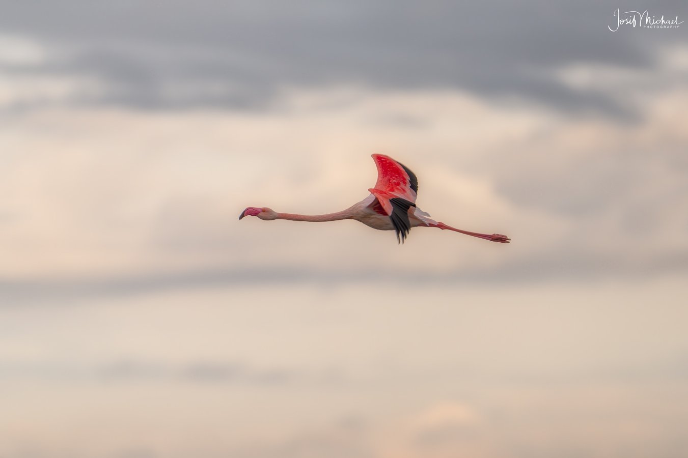 ARV00761-Edit web.jpg