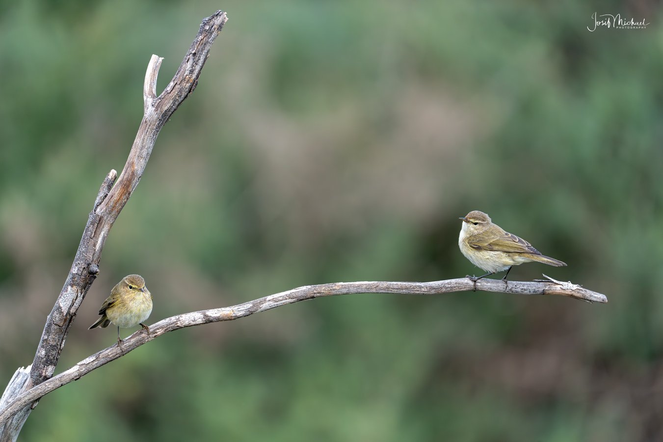 ARV00859-Edit web.jpg