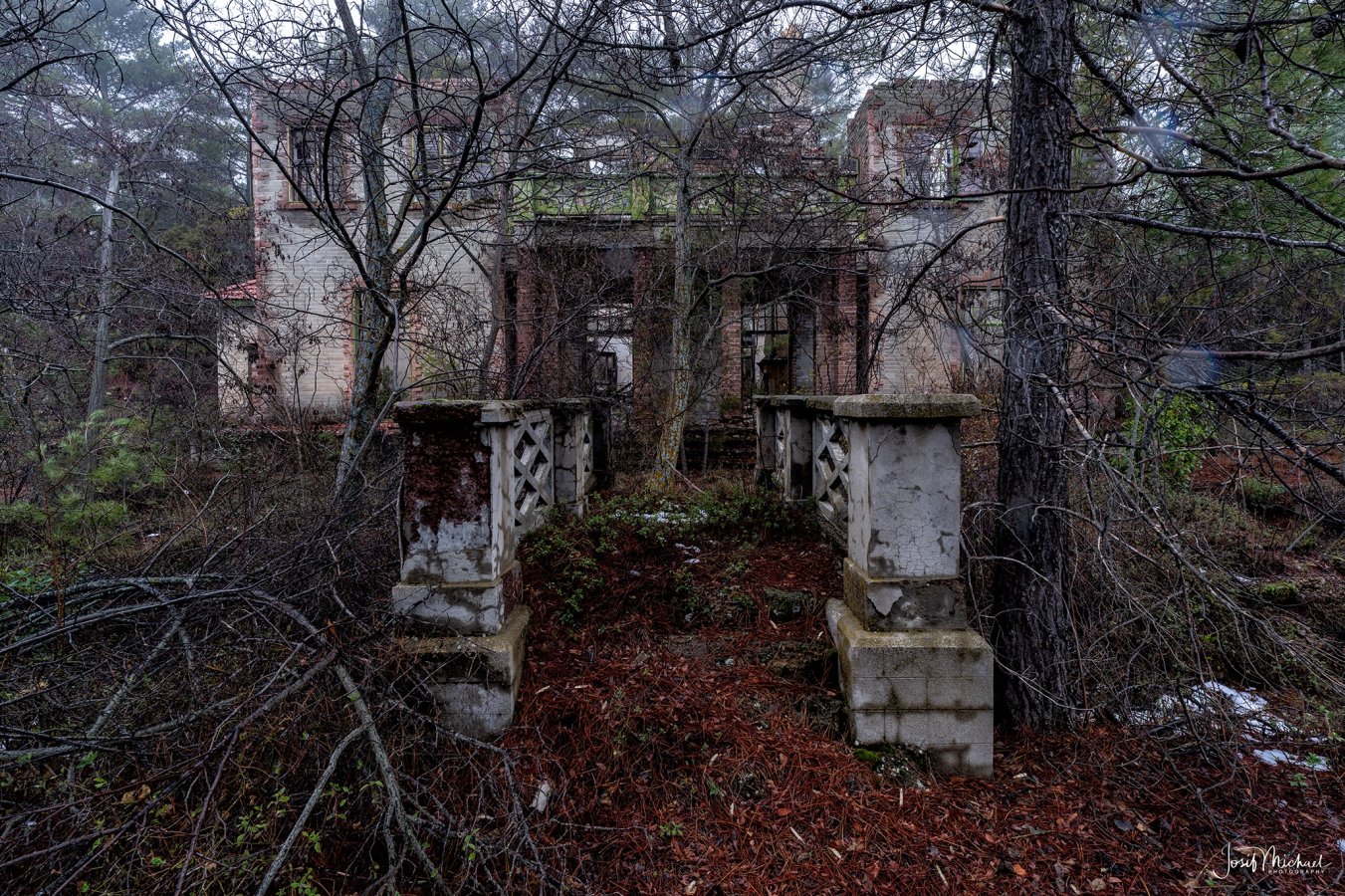 ARV01062-Edit web.jpg