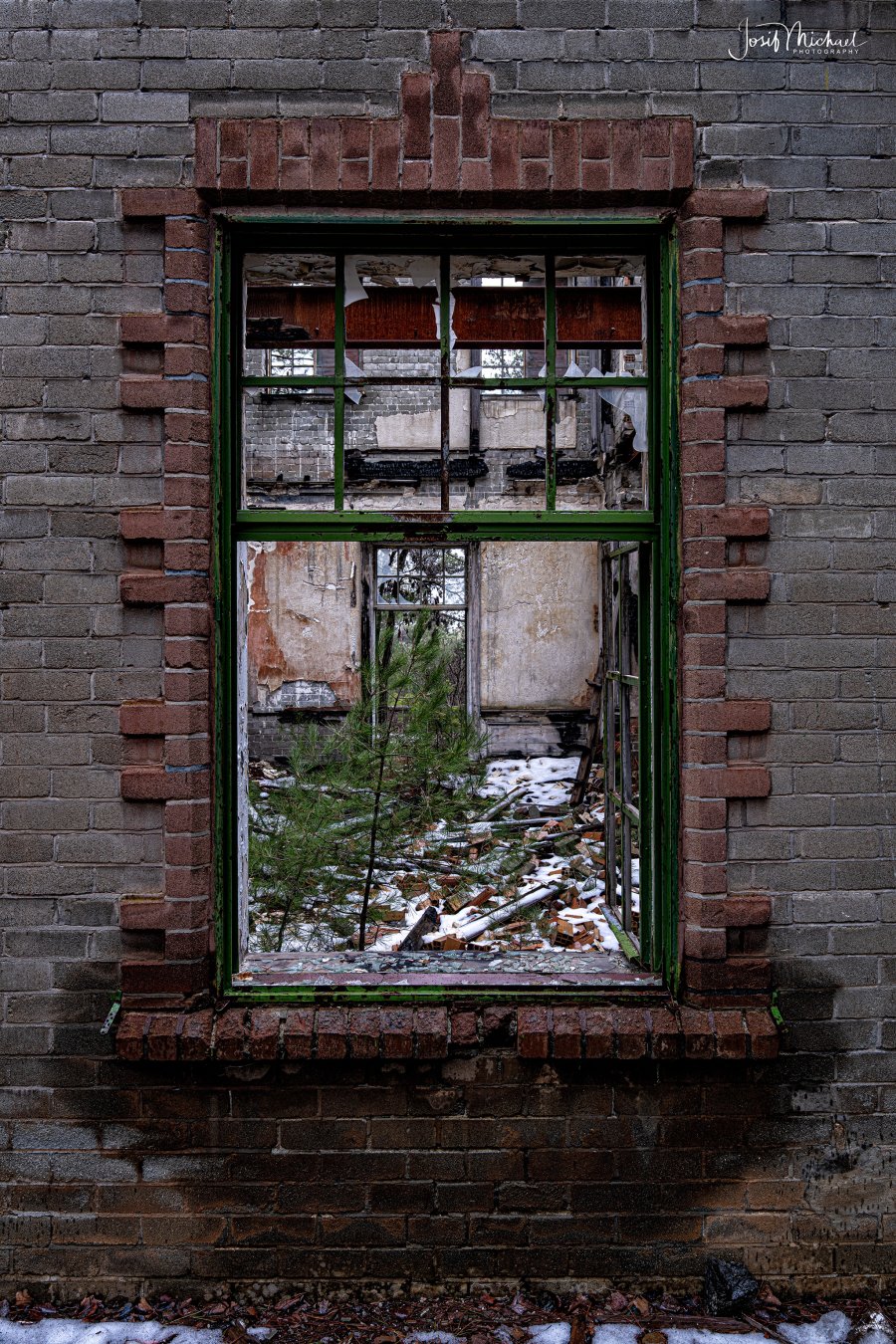 ARV01051-Edit web.jpg