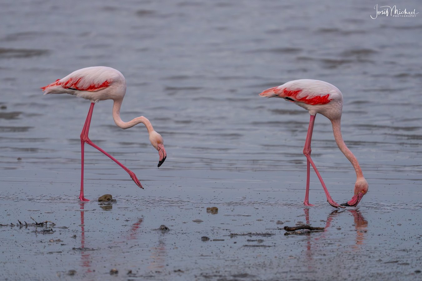 ARV01184-Edit web.jpg