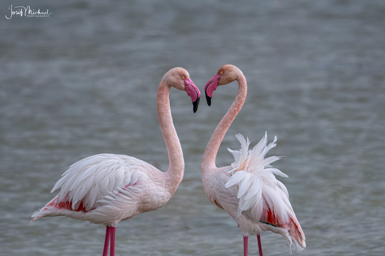 ARV01352-Edit web2.jpg