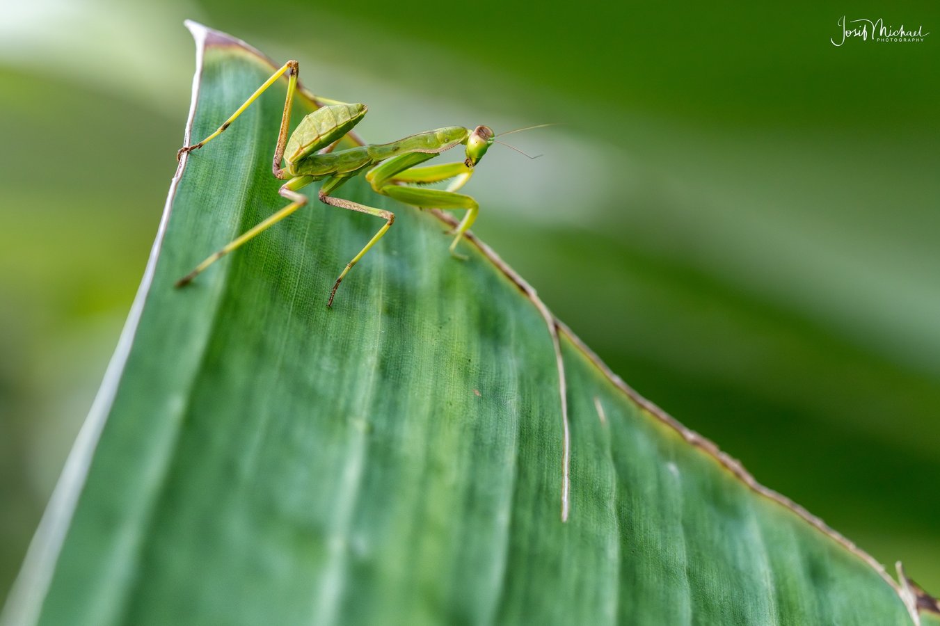 ARV01566-Edit web.jpg