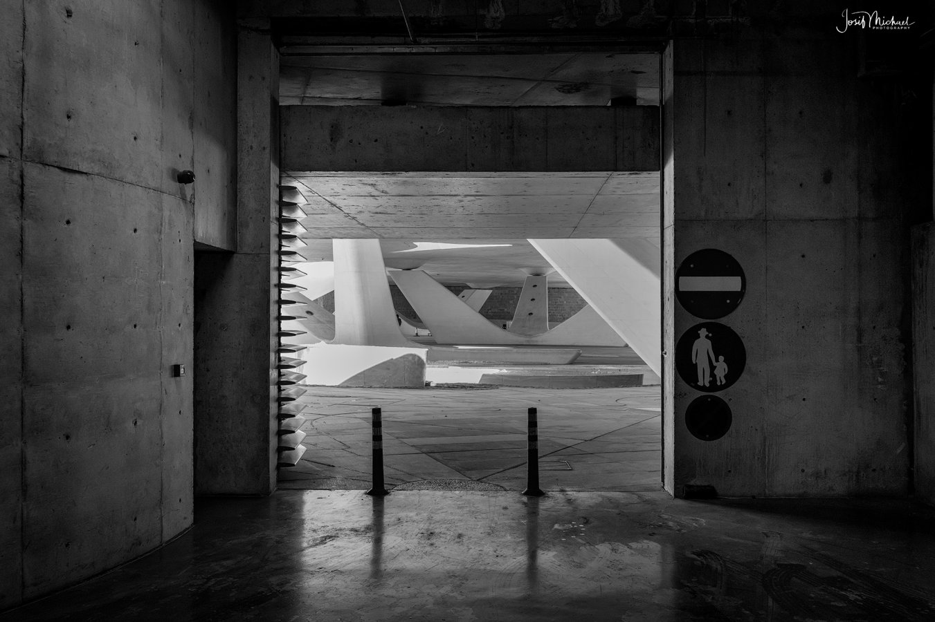 ARV03009-Edit web.jpg