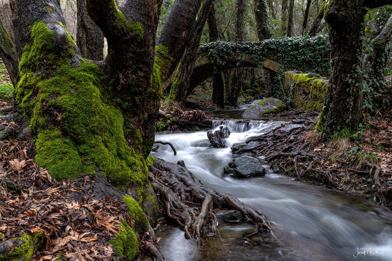 ARV01720-Edit web.jpg