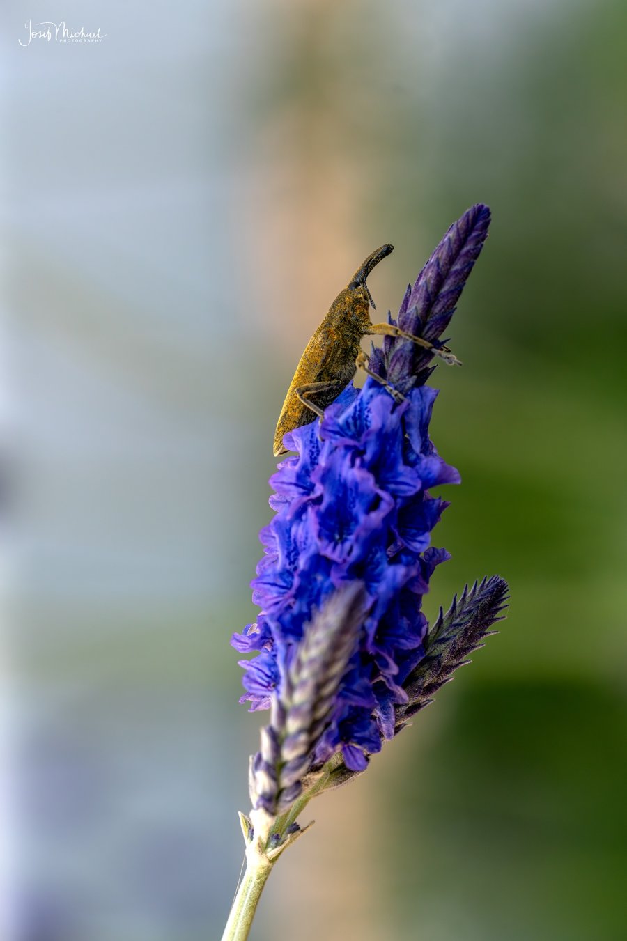 ARV01742-Edit web.jpg