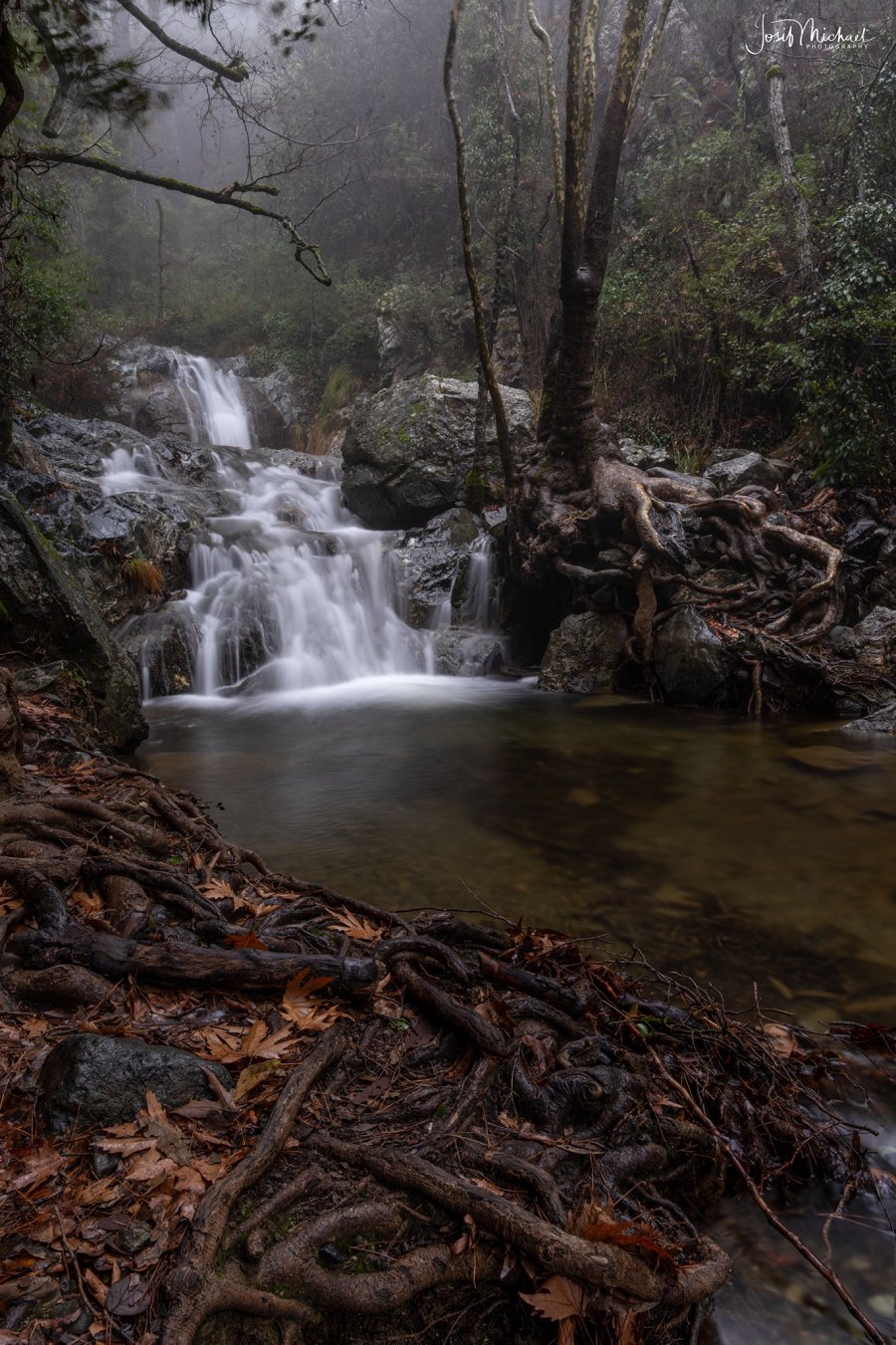 ARV01815-Edit web.jpg