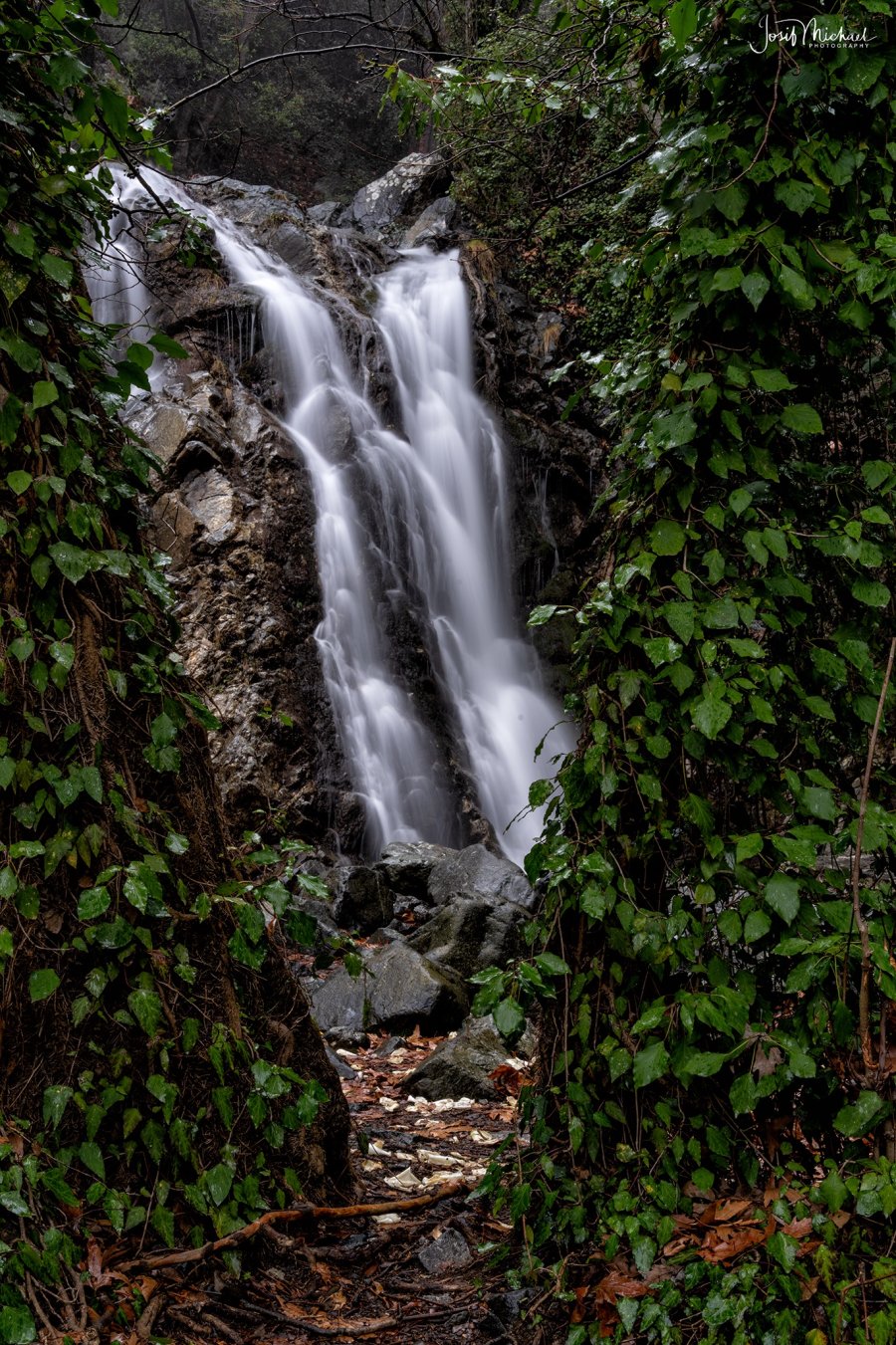 ARV01835-Edit web.jpg