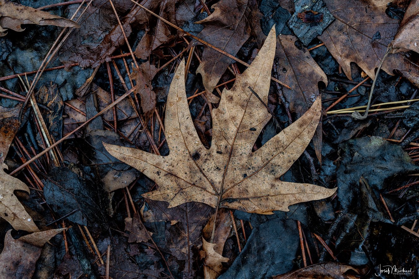 ARV01753-Edit web.jpg