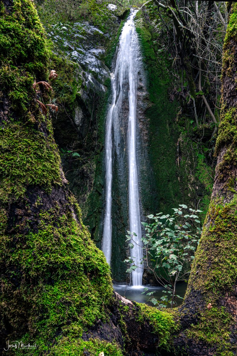 ARV00078-Edit web.jpg