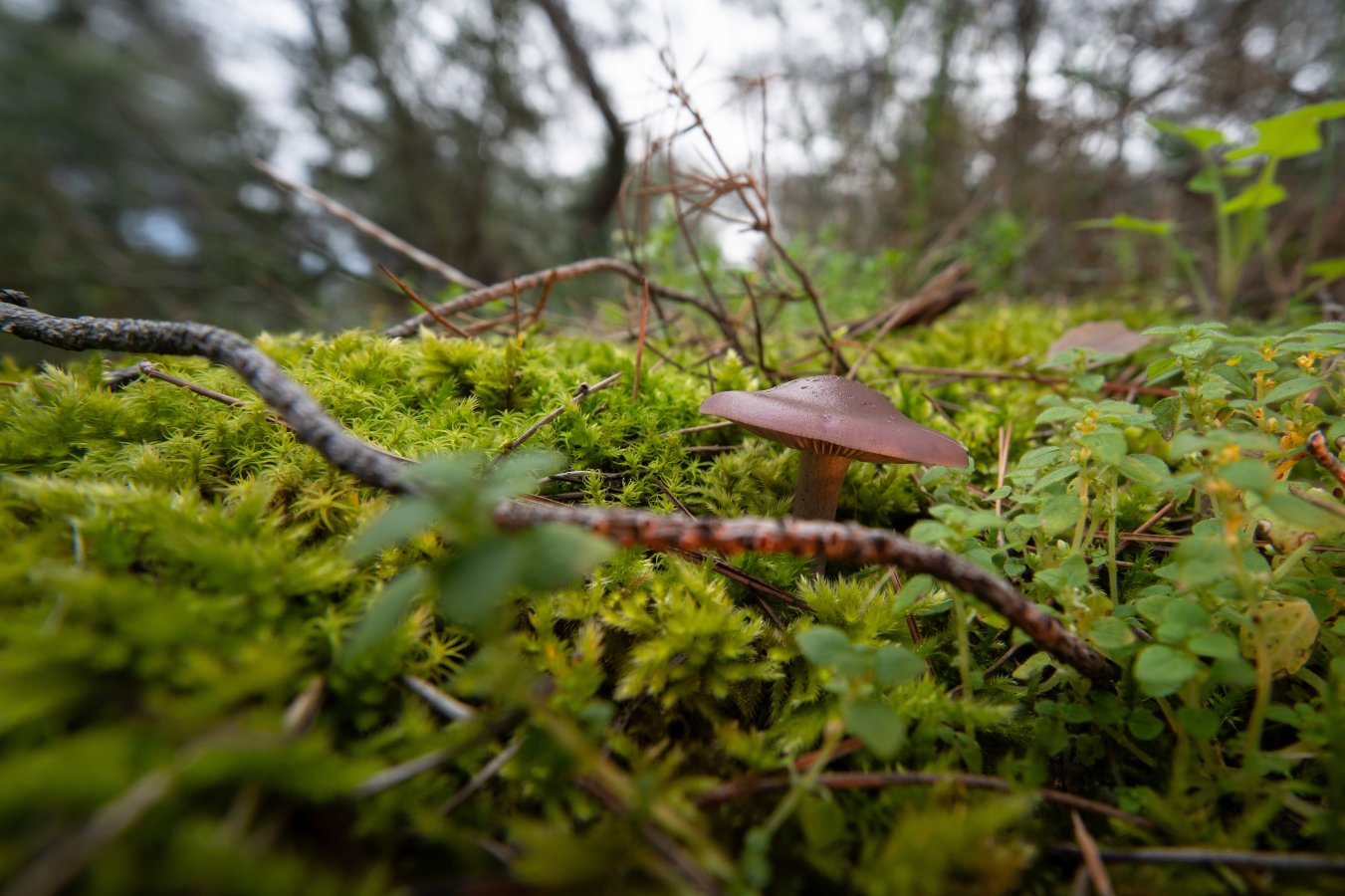 2026-02-11 19-01-23 (B,R6,S3).jpg