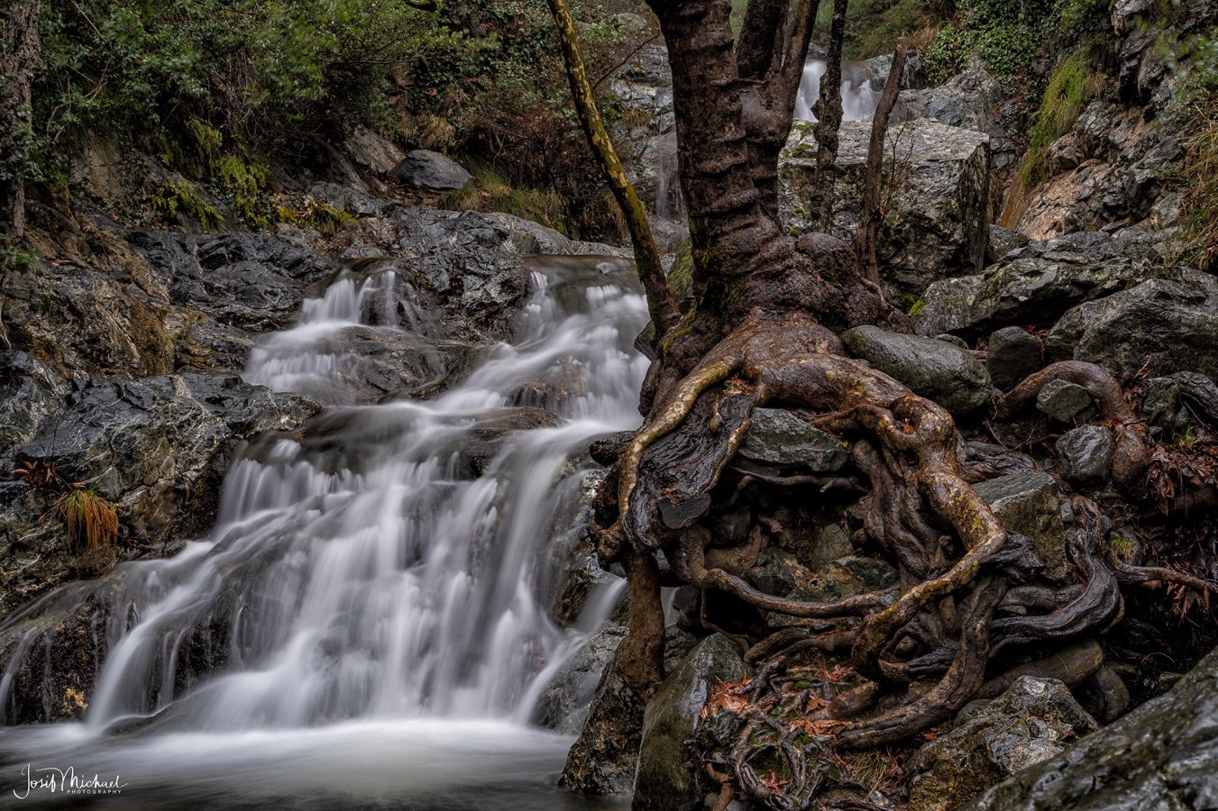 ARV01823-Edit web.jpg