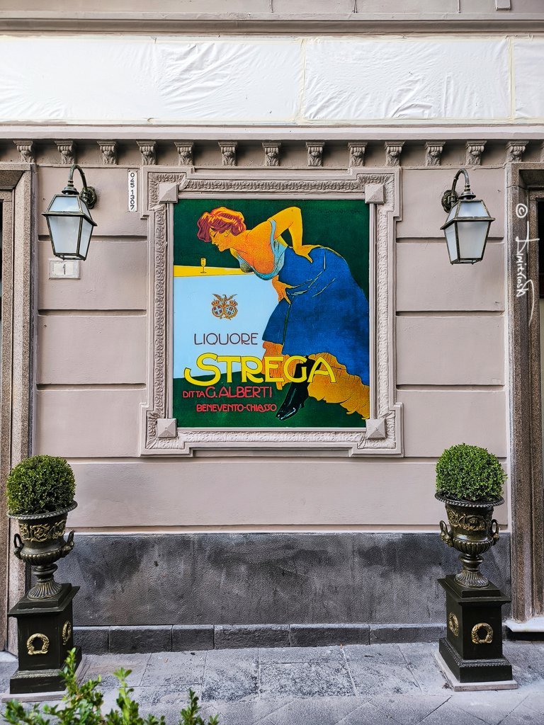 IMG_20251111_125040 copy_WM.jpg