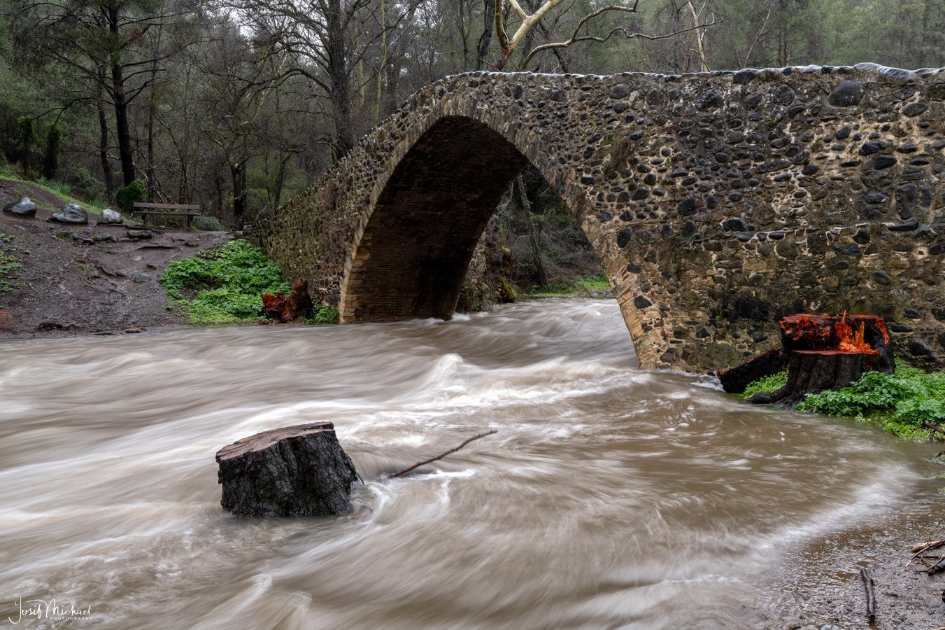 ARV00206-Edit web.jpg