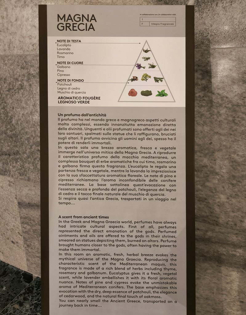 IMG_20251111_175001 copy.jpg