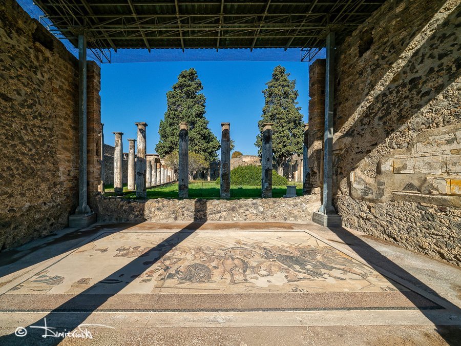 PB120164_DxO_PSA_AG_WM.jpg PB120164_DxO_PSA_AG_WM.jpg