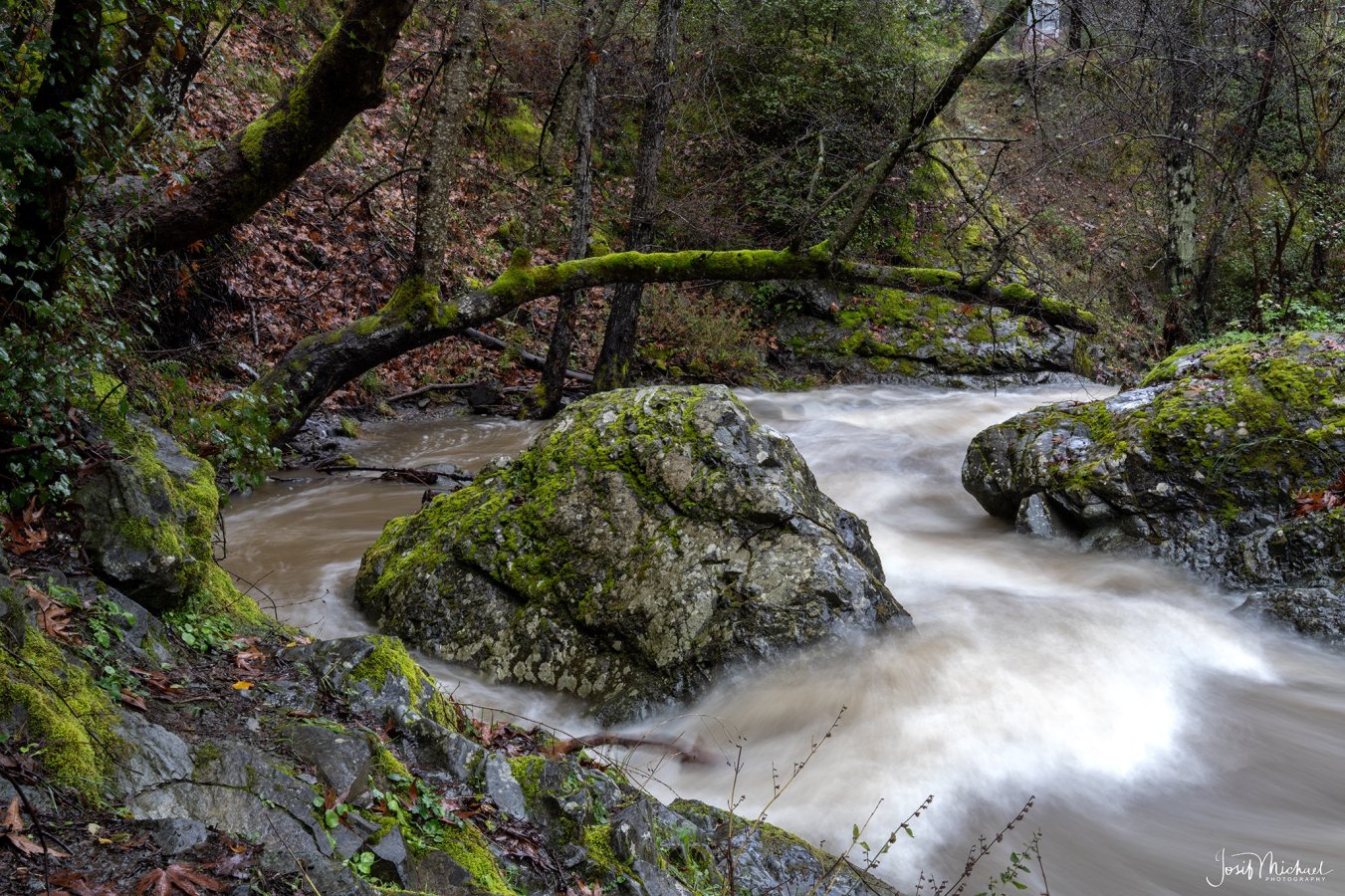 ARV00291-Edit web.jpg