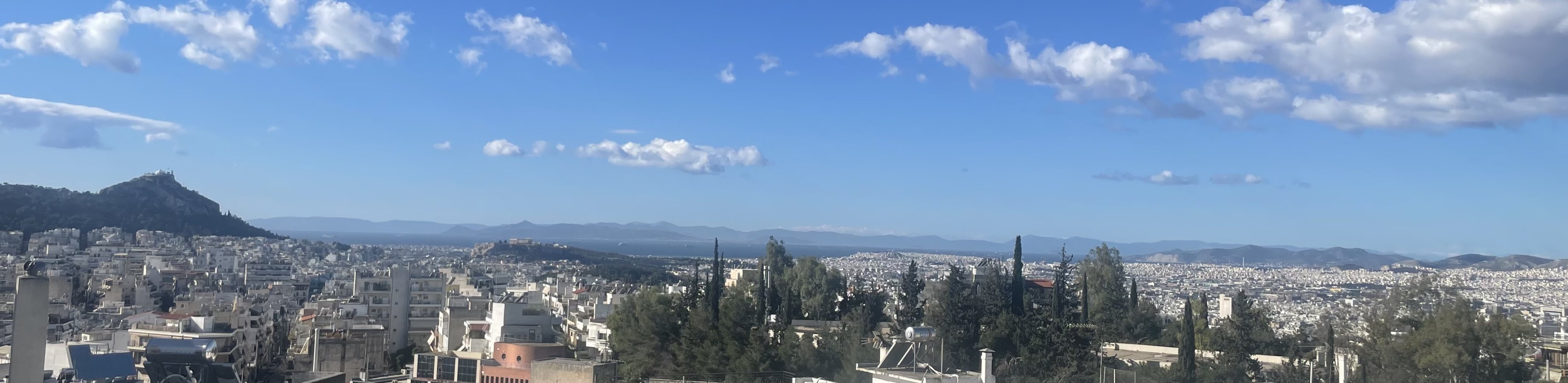 IMG_3560.jpeg IMG_3560.jpeg