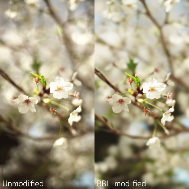 1771633988517.png 1771633988517.png