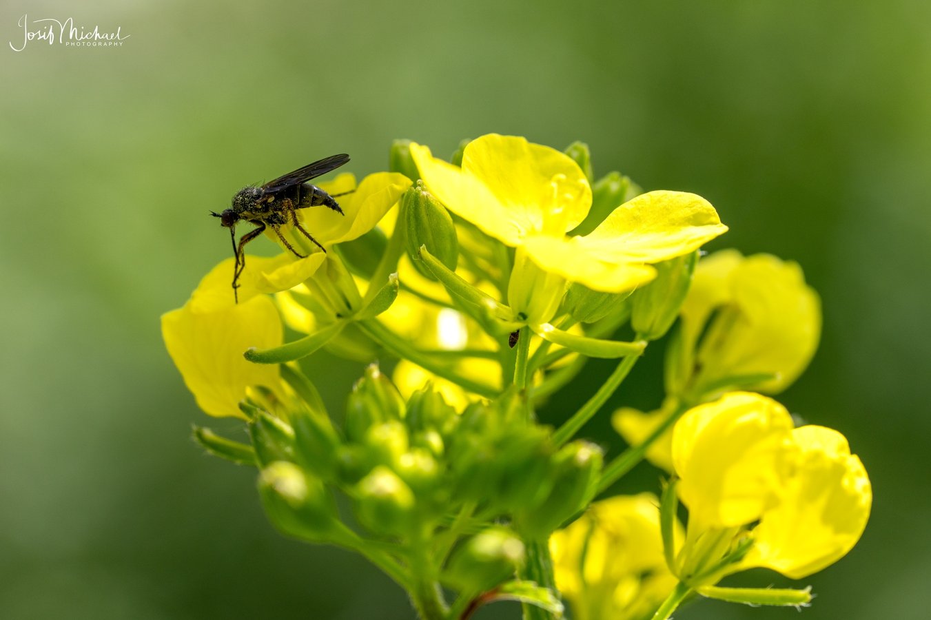 ARV00891-Edit web.jpg