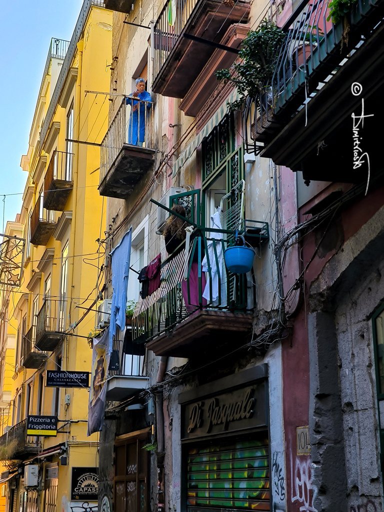 IMG_20251113_091536 copy_WM.jpg