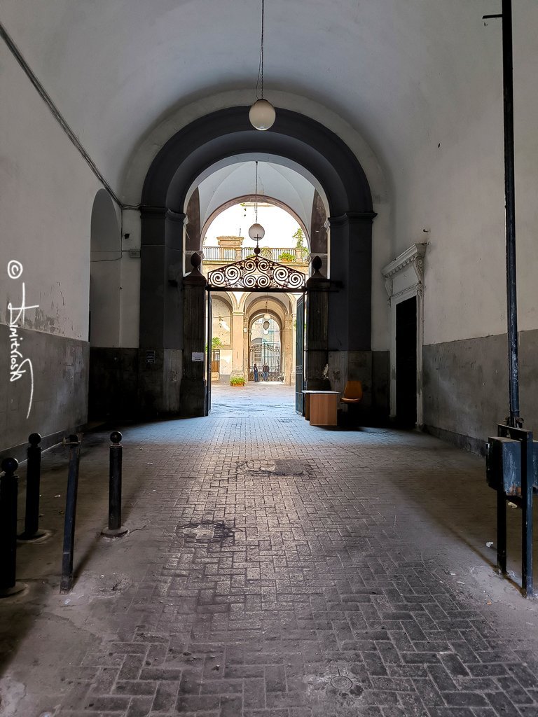 IMG_20251113_100345 copy_WM.jpg