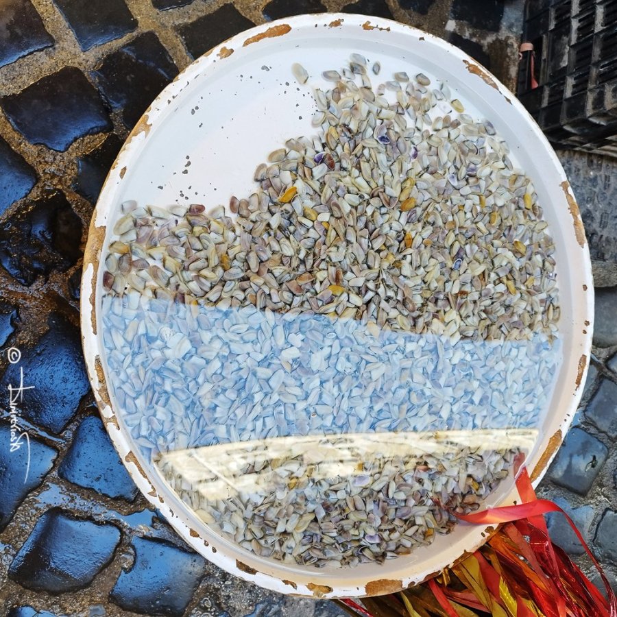 IMG_20251113_095913 copy_WM.jpg