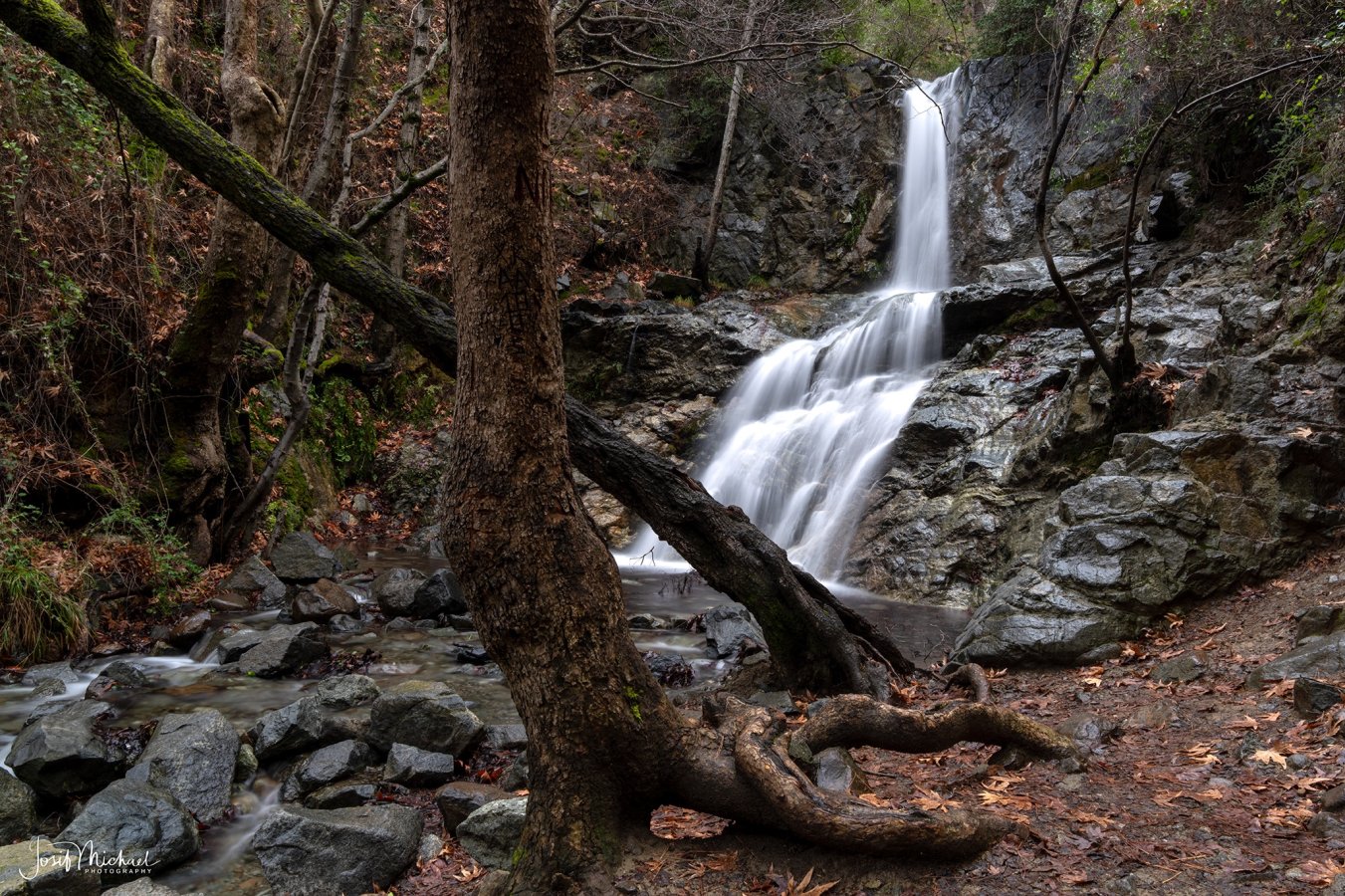 ARV01778-Edit web.jpg