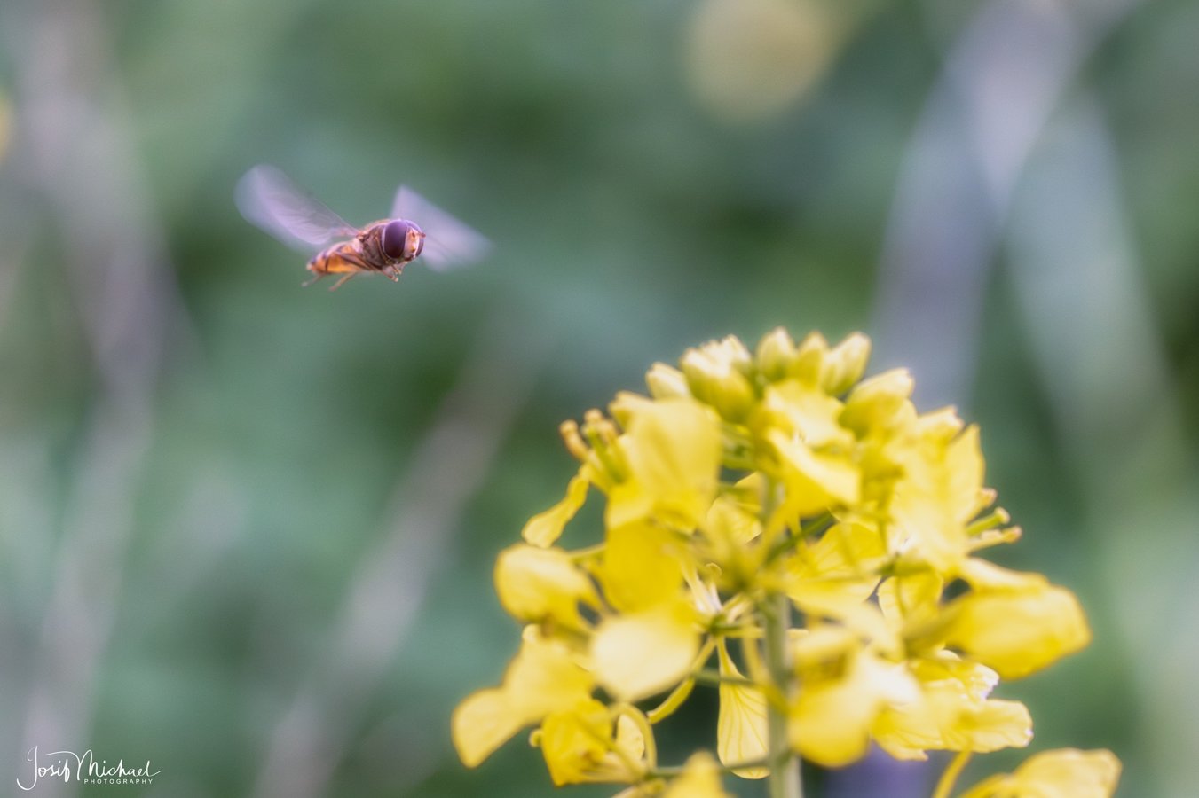 ARV01079-Edit web.jpg