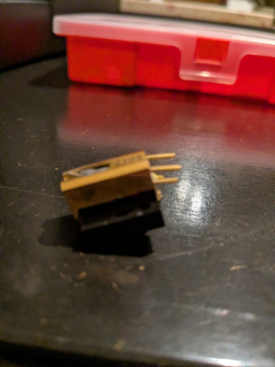 PXL_20260228_191937175.jpg PXL_20260228_191937175.jpg