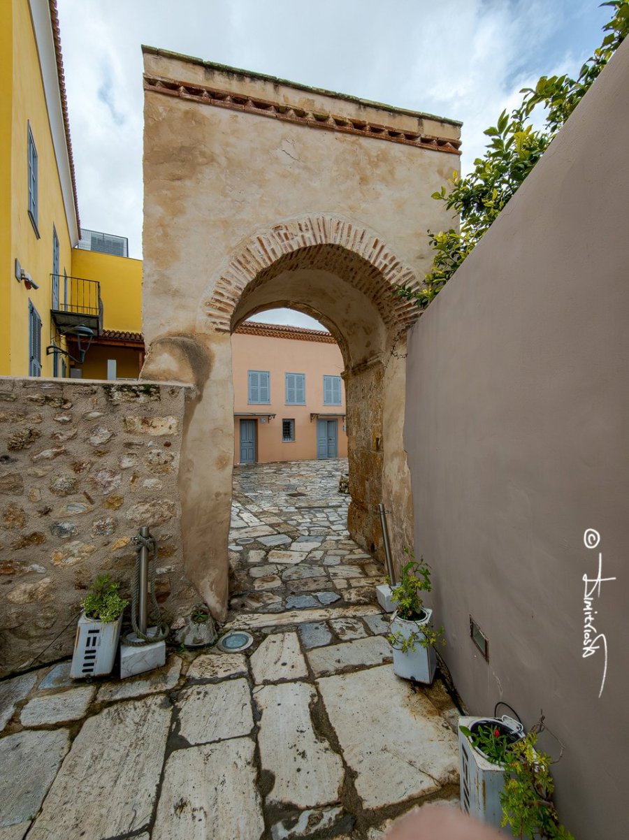 IMG_20260201_100953 copy_WM.jpg IMG_20260201_100953 copy_WM.jpg