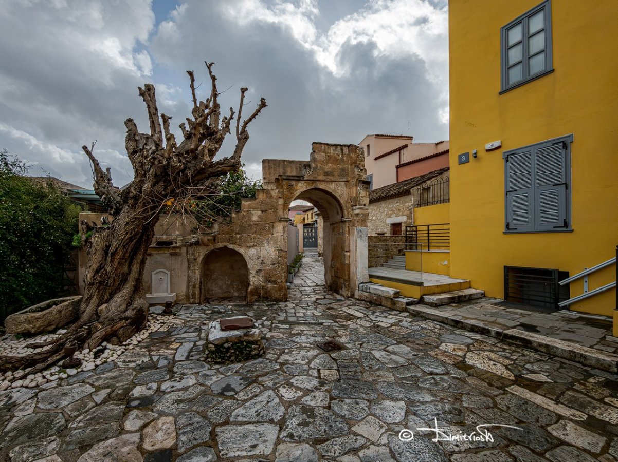 IMG_20260201_101229 copy_WM.jpg IMG_20260201_101229 copy_WM.jpg