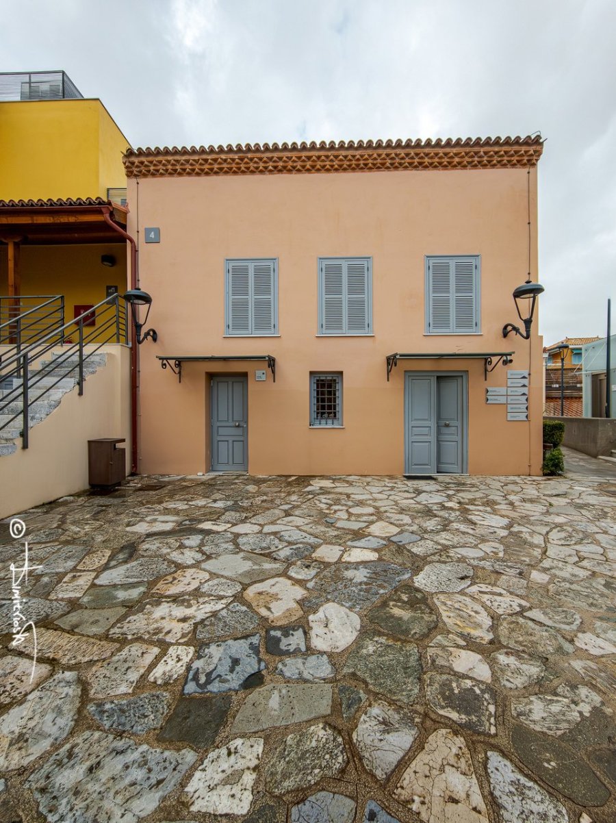 IMG_20260201_101023 copy_WM.jpg IMG_20260201_101023 copy_WM.jpg