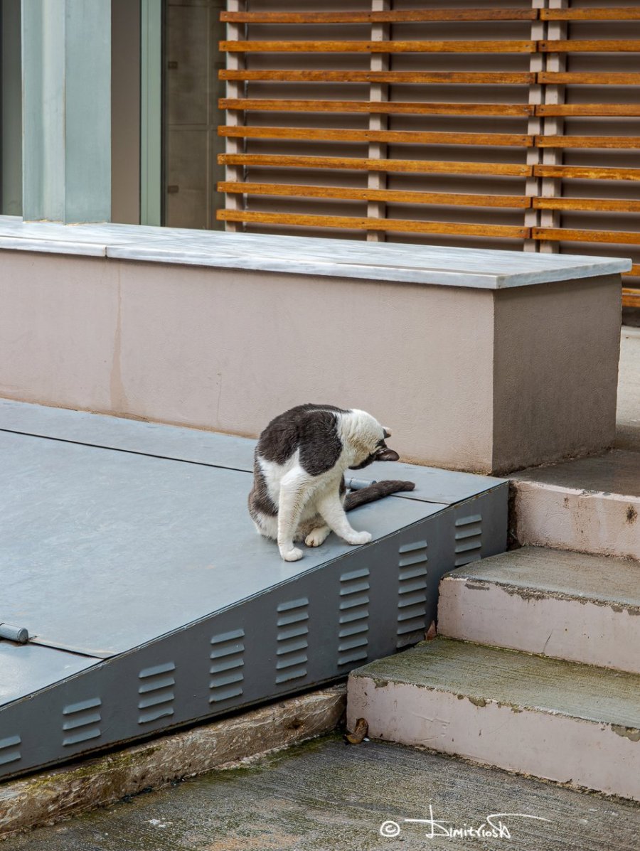 IMG_20260201_101324 copy_WM.jpg IMG_20260201_101324 copy_WM.jpg