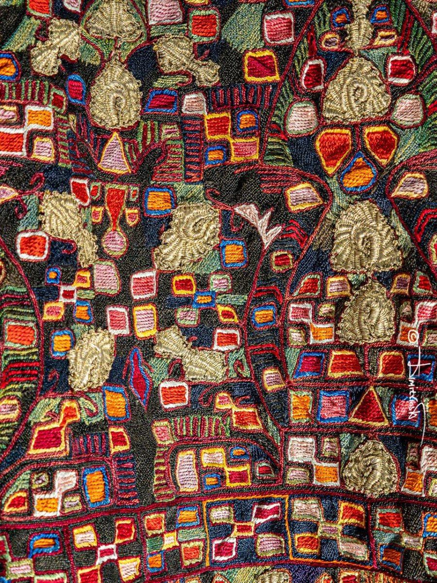 IMG_20260201_105228 copy_WM.jpg IMG_20260201_105228 copy_WM.jpg