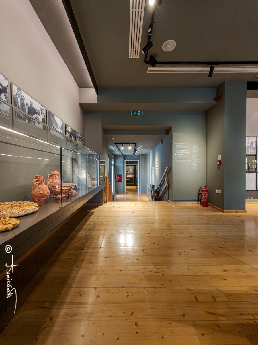 IMG_20260201_113859 copy_WM.jpg